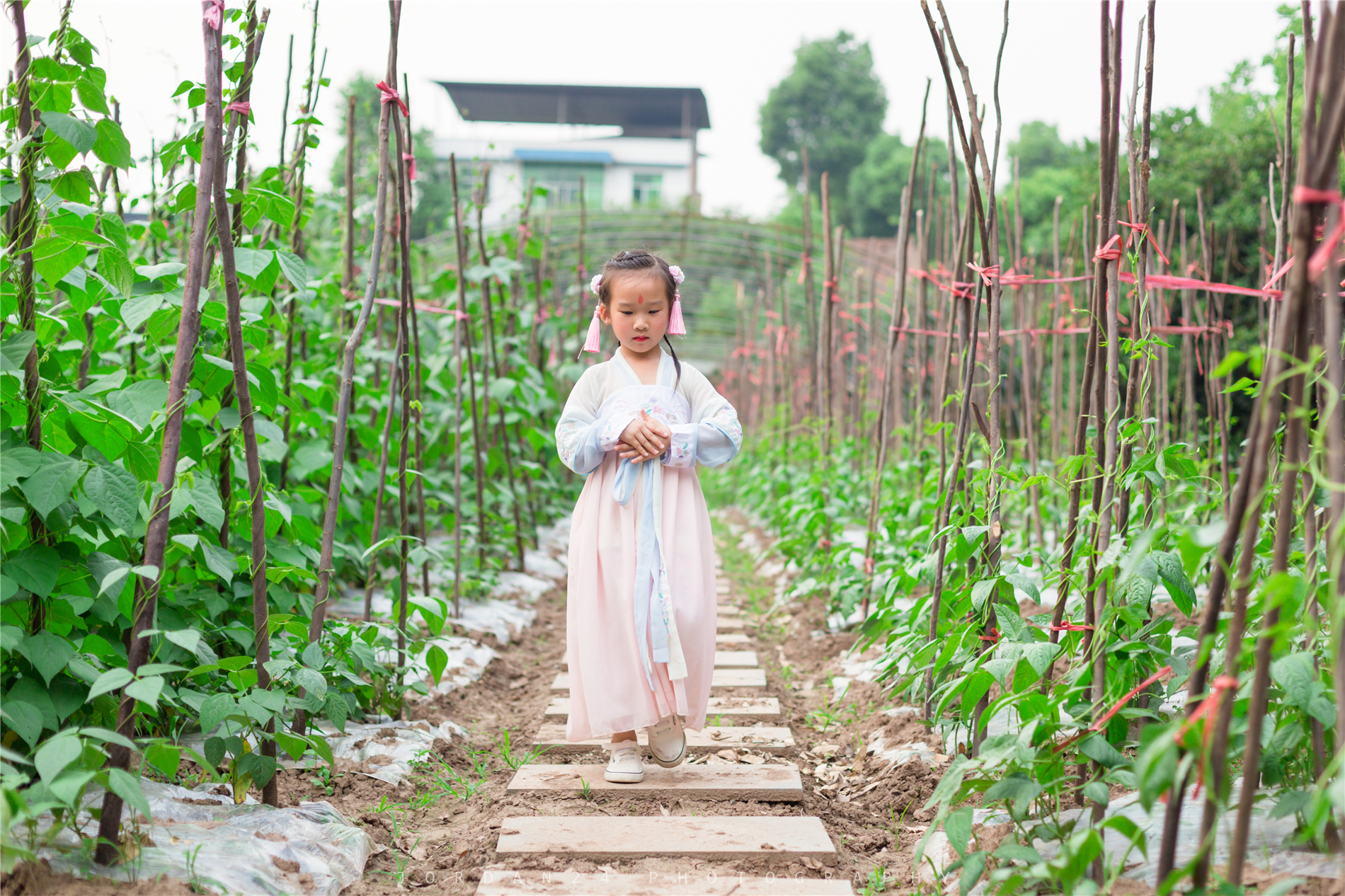 重慶葡萄采摘_菜園